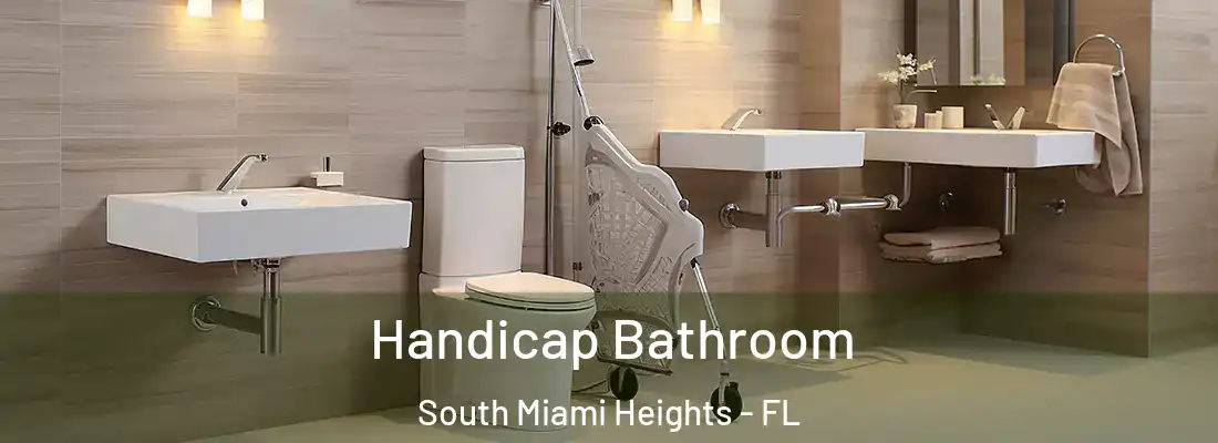  Handicap Bathroom South Miami Heights - FL