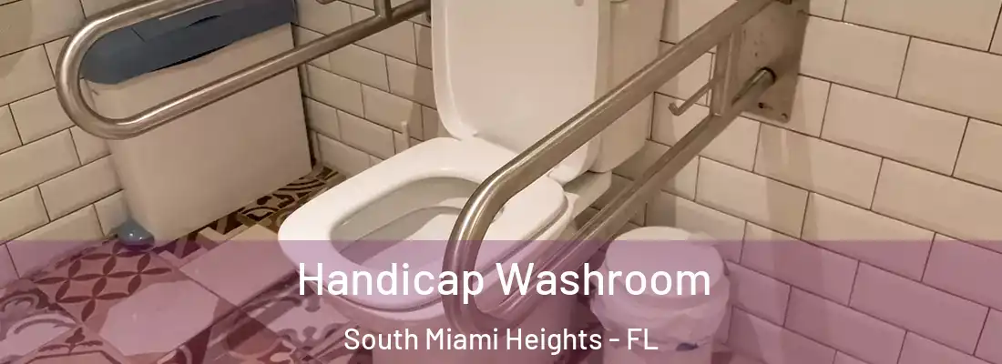  Handicap Washroom South Miami Heights - FL