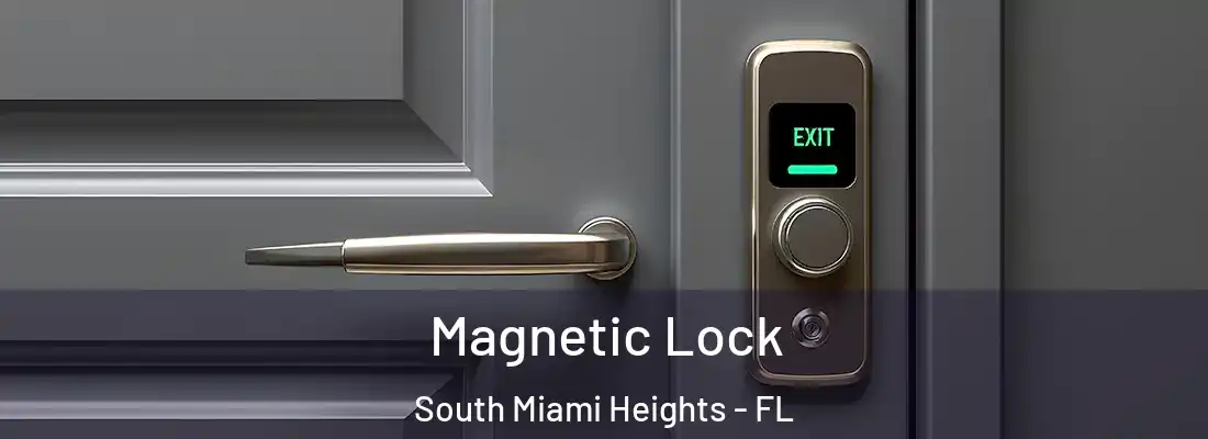  Magnetic Lock South Miami Heights - FL